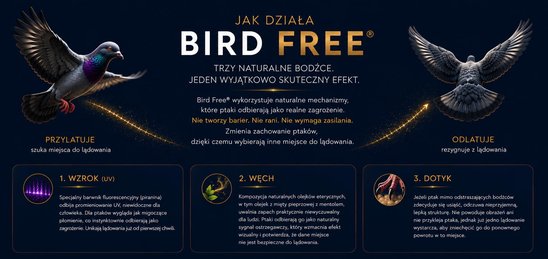 Jak działa Bird Free